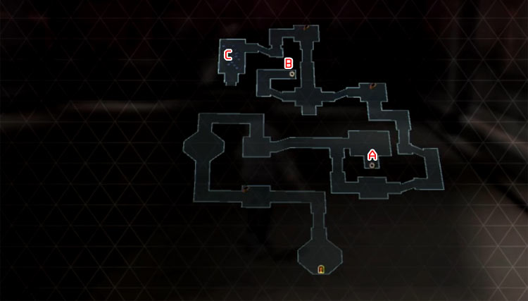 t4.jpg
