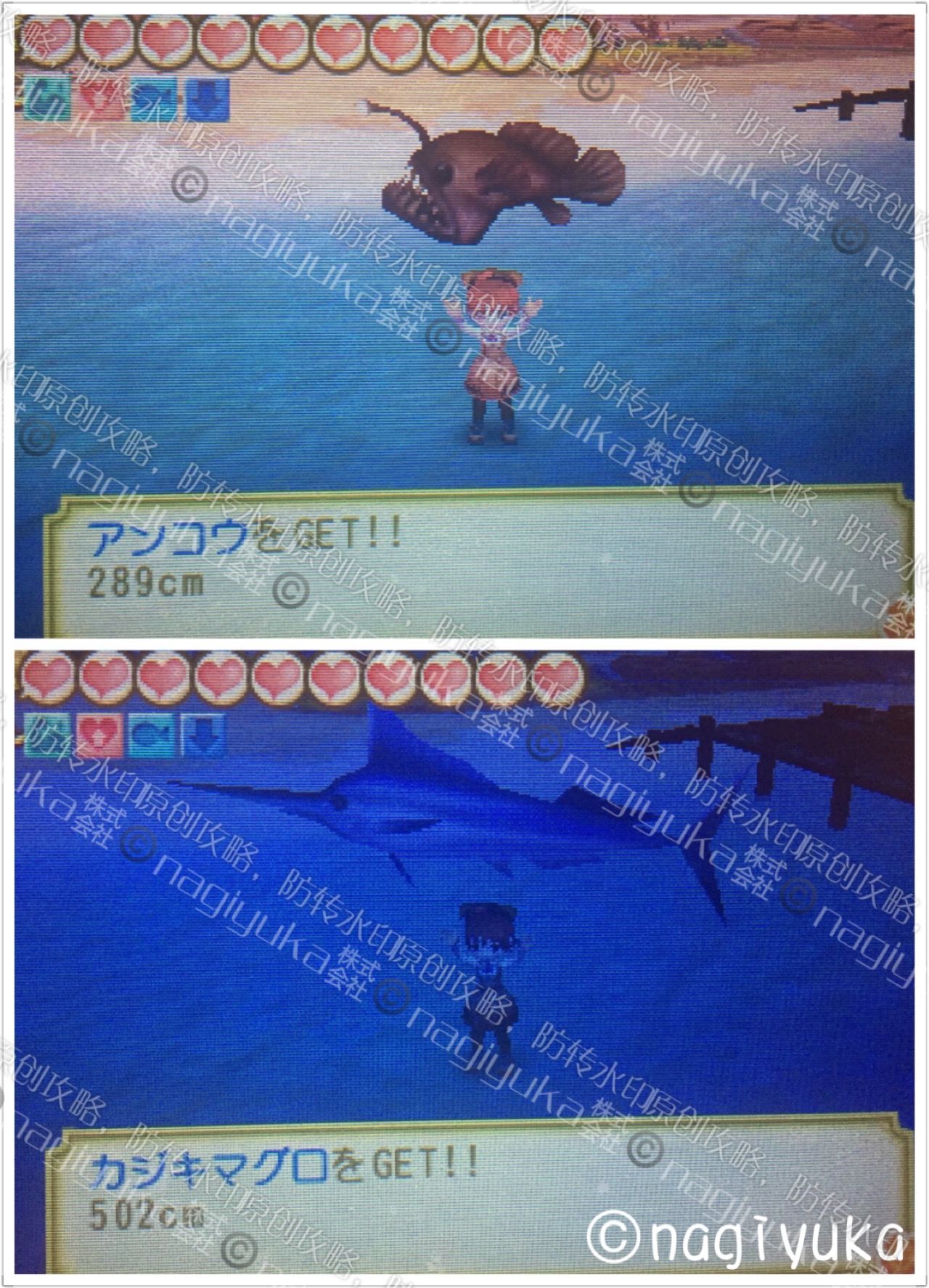 1471005835961333.jpeg image.jpeg