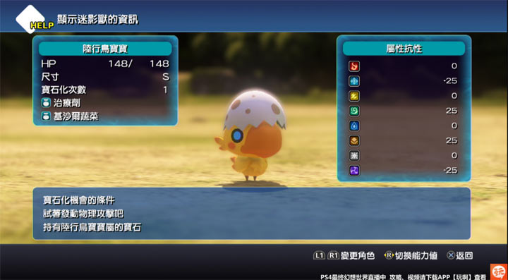 223sdsds.jpg
