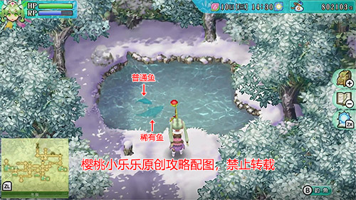 1581673822248374.jpg 002.jpg