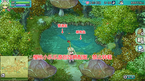 1581739474566649.jpg 003.jpg