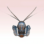monster_76_i.png